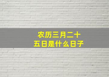 农历三月二十五日是什么日子