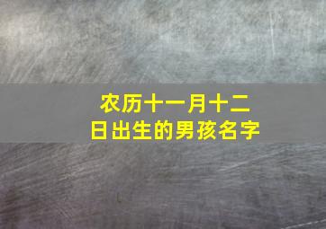 农历十一月十二日出生的男孩名字