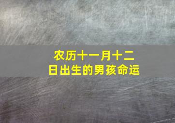 农历十一月十二日出生的男孩命运