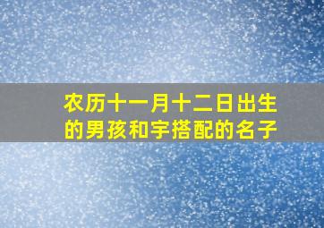 农历十一月十二日出生的男孩和宇搭配的名子