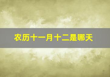 农历十一月十二是哪天