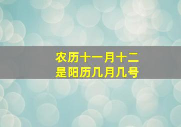 农历十一月十二是阳历几月几号