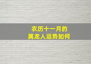 农历十一月的属龙人运势如何