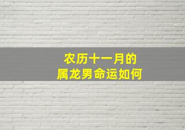 农历十一月的属龙男命运如何