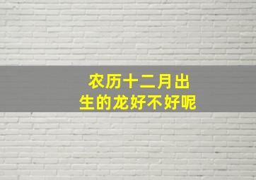 农历十二月出生的龙好不好呢