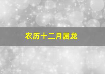 农历十二月属龙