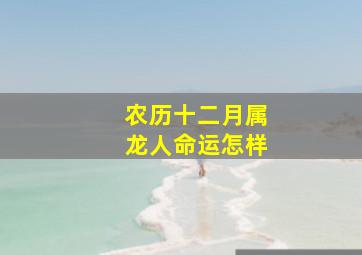 农历十二月属龙人命运怎样