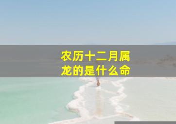 农历十二月属龙的是什么命