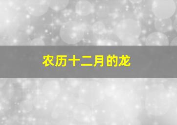 农历十二月的龙