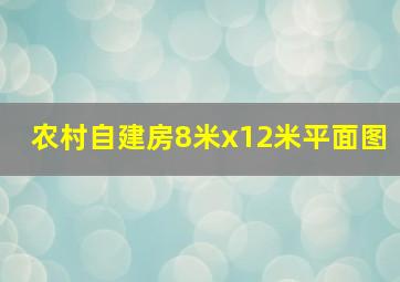 农村自建房8米x12米平面图