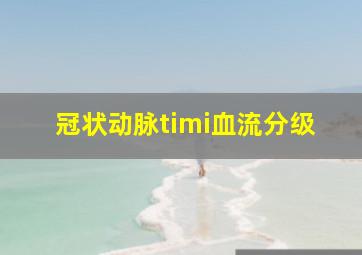 冠状动脉timi血流分级