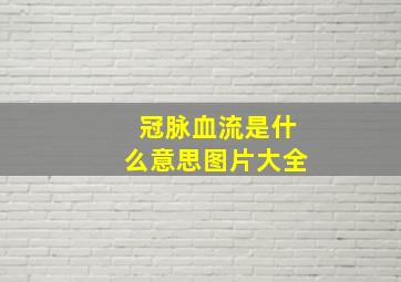 冠脉血流是什么意思图片大全