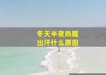 冬天半夜热醒出汗什么原因