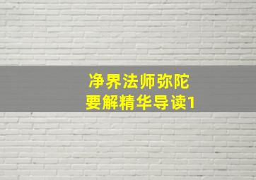 净界法师弥陀要解精华导读1