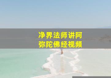 净界法师讲阿弥陀佛经视频