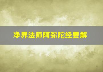 净界法师阿弥陀经要解