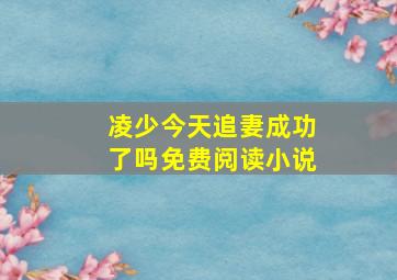 凌少今天追妻成功了吗免费阅读小说