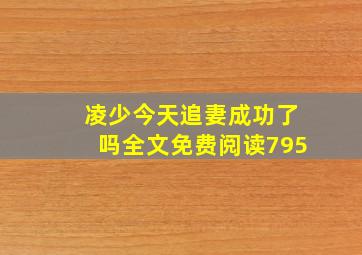 凌少今天追妻成功了吗全文免费阅读795