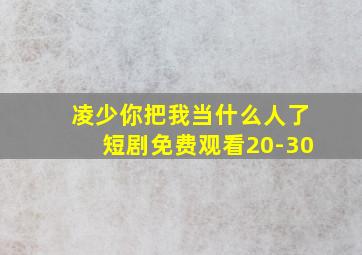 凌少你把我当什么人了短剧免费观看20-30