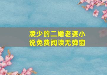 凌少的二婚老婆小说免费阅读无弹窗