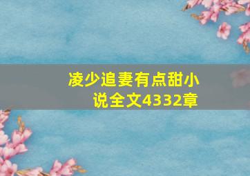 凌少追妻有点甜小说全文4332章