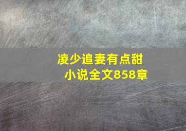 凌少追妻有点甜小说全文858章