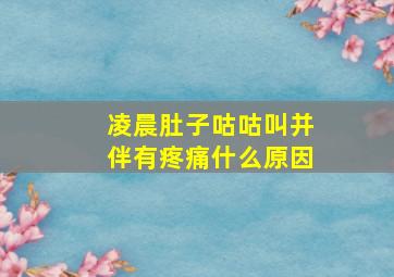 凌晨肚子咕咕叫并伴有疼痛什么原因