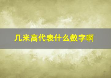 几米高代表什么数字啊