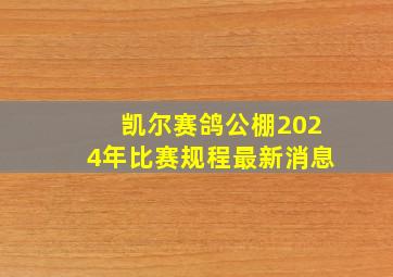 凯尔赛鸽公棚2024年比赛规程最新消息