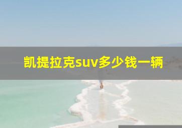 凯提拉克suv多少钱一辆