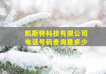 凯斯特科技有限公司电话号码查询是多少