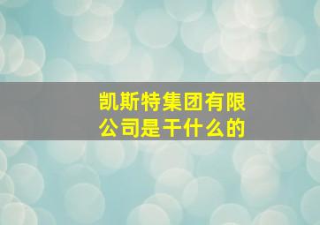 凯斯特集团有限公司是干什么的