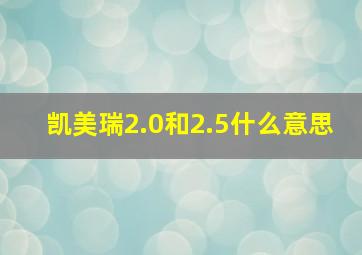 凯美瑞2.0和2.5什么意思