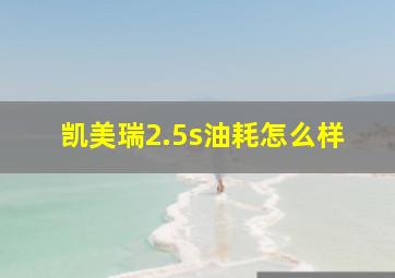 凯美瑞2.5s油耗怎么样