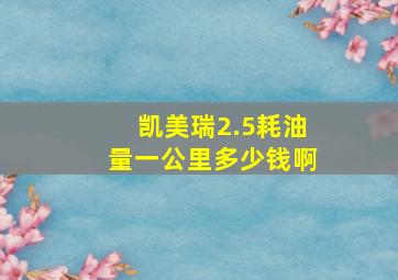 凯美瑞2.5耗油量一公里多少钱啊