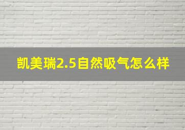 凯美瑞2.5自然吸气怎么样