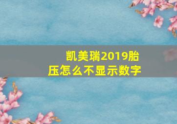 凯美瑞2019胎压怎么不显示数字