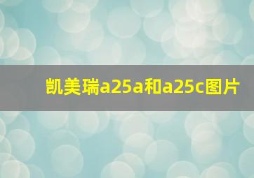 凯美瑞a25a和a25c图片