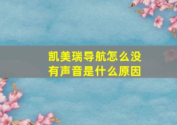 凯美瑞导航怎么没有声音是什么原因