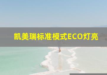 凯美瑞标准模式ECO灯亮