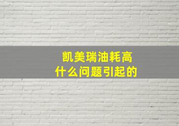 凯美瑞油耗高什么问题引起的