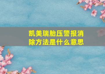 凯美瑞胎压警报消除方法是什么意思