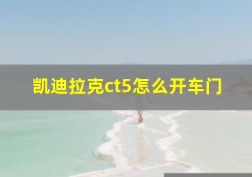 凯迪拉克ct5怎么开车门