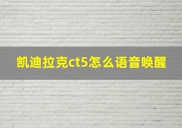 凯迪拉克ct5怎么语音唤醒