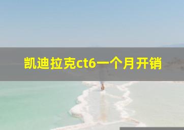 凯迪拉克ct6一个月开销