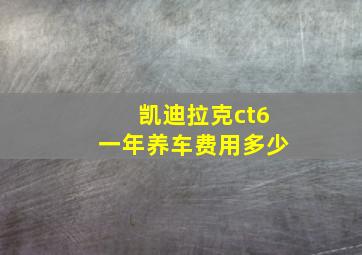 凯迪拉克ct6一年养车费用多少