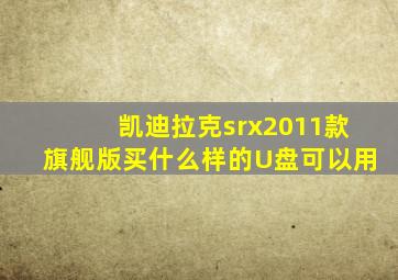 凯迪拉克srx2011款旗舰版买什么样的U盘可以用