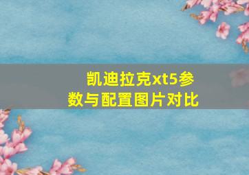 凯迪拉克xt5参数与配置图片对比