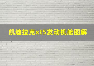 凯迪拉克xt5发动机舱图解