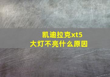 凯迪拉克xt5大灯不亮什么原因